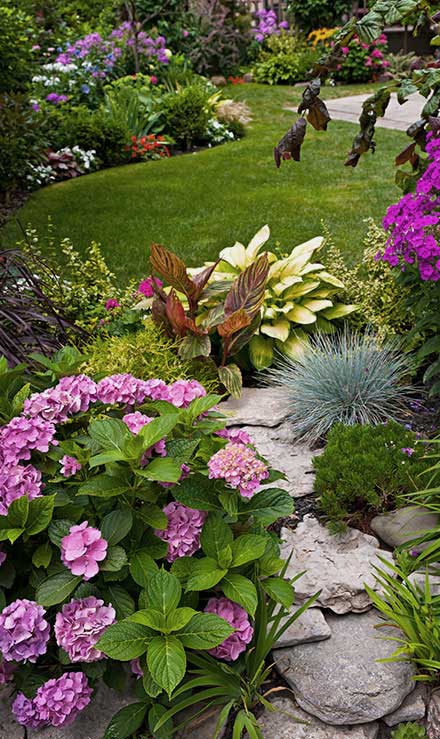 LinkNow Media Residential Landscaping