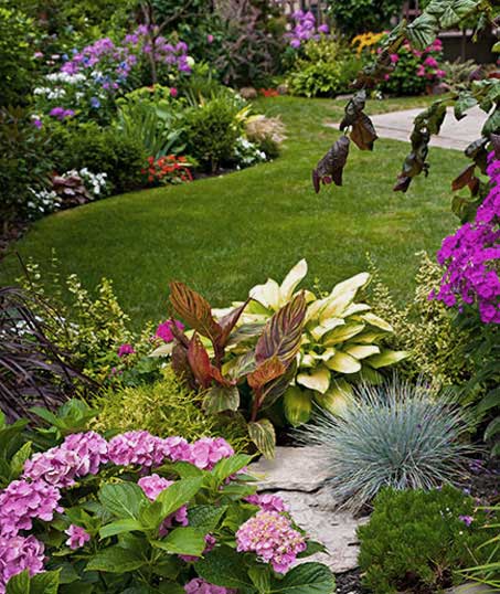 LinkNow Media Residential Garden Design