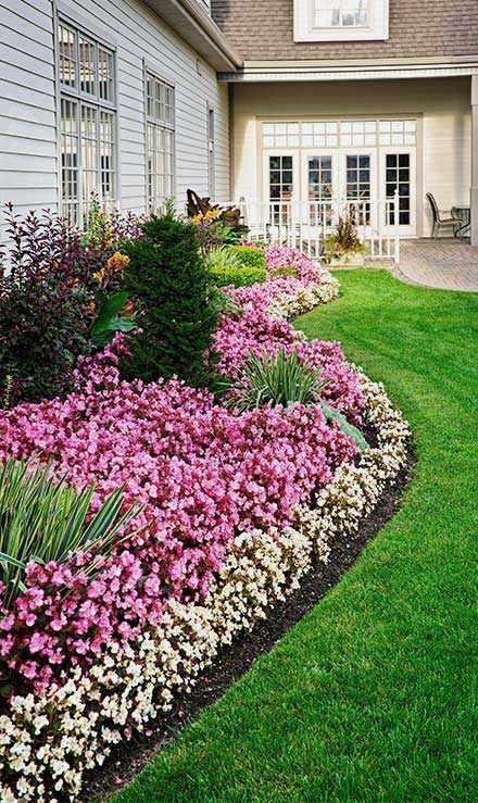 Contact LinkNow Media for Residential Landscaping Services