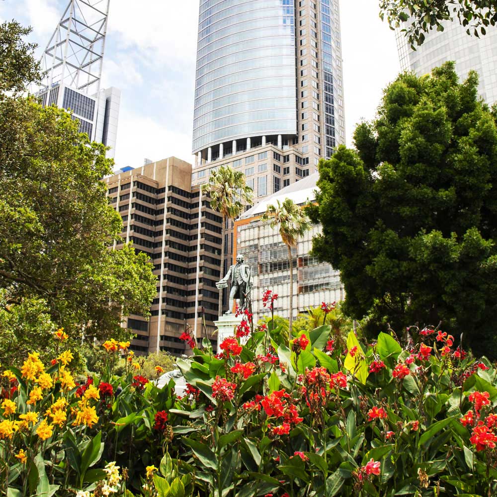 Landscaping Company Services