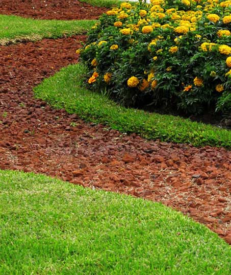 LinkNow Media Residential Landscape Architecture