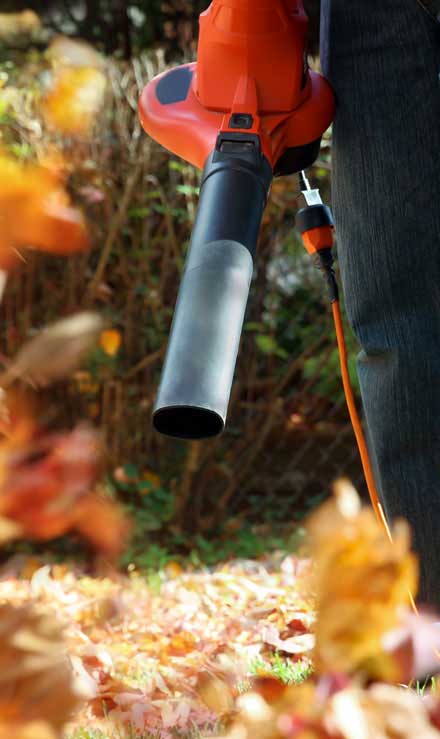 LinkNow Media Residential Leaf Removal Services
