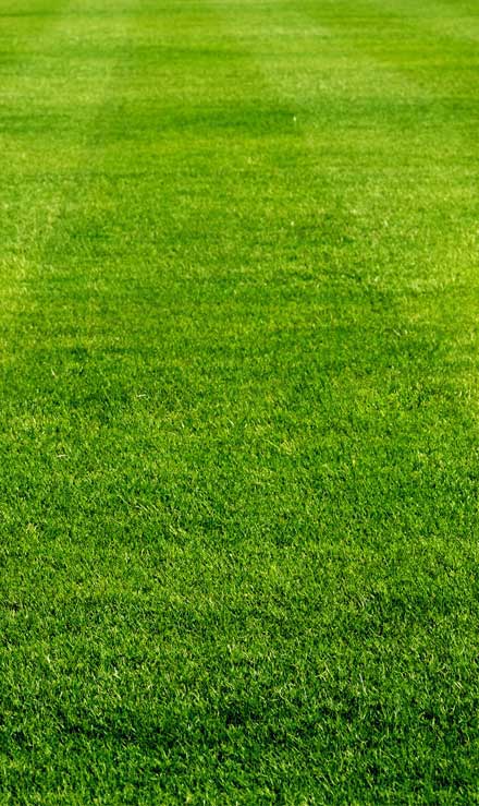 LinkNow Media Residential Aeration