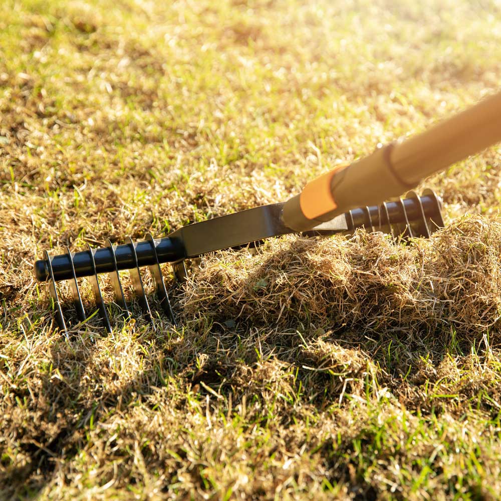 Lawn Dethatching Service