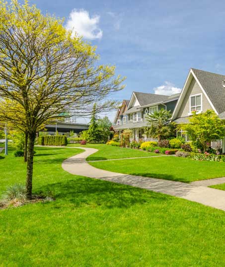 LinkNow Media Residential Lawn Care