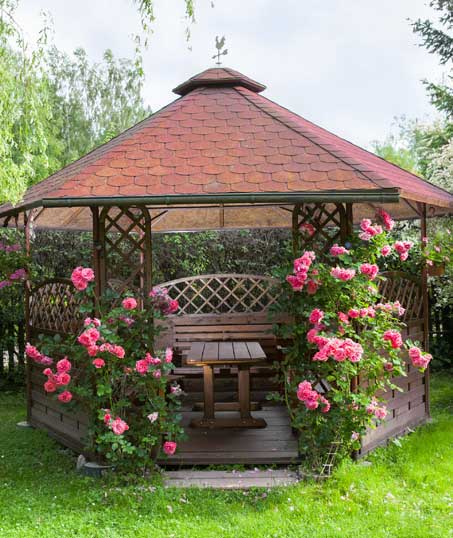 LinkNow Media Pergola