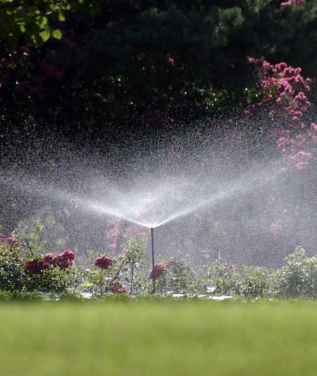 LinkNow Media Residential Sprinkler Installation