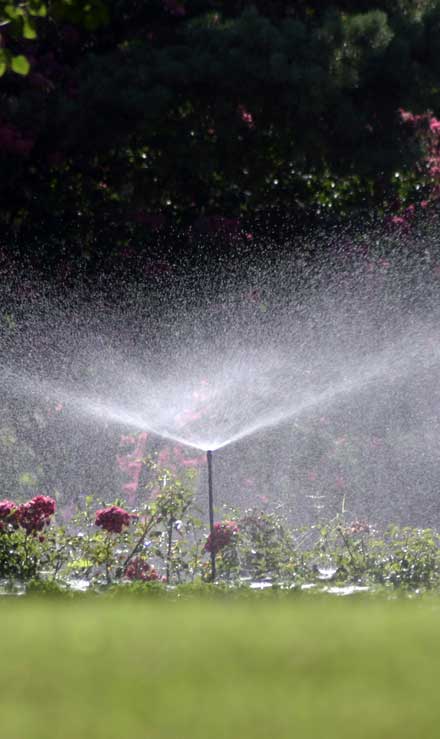 LinkNow Media Residential Sprinkler Installation