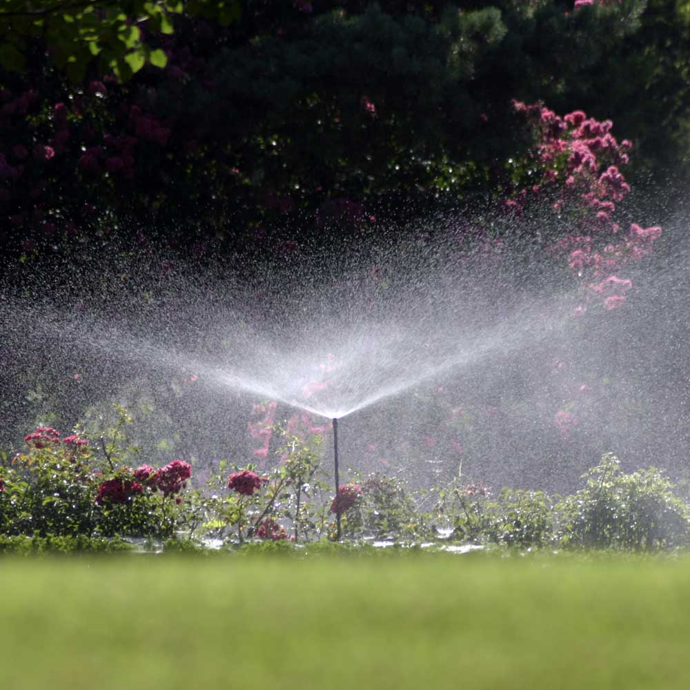 Sprinkler Installation Service